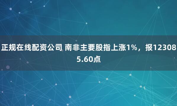 正规在线配资公司 南非主要股指上涨1%，报123085.60点