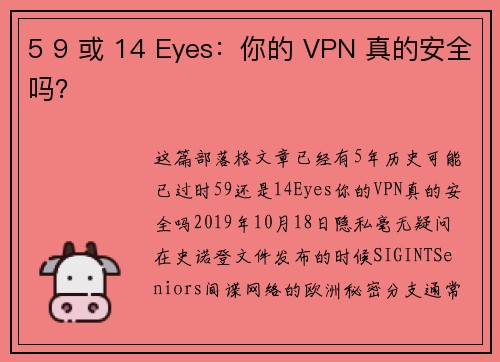 5 9 或 14 Eyes：你的 VPN 真的安全吗？