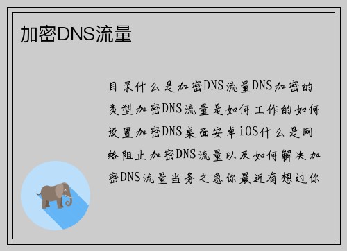 加密DNS流量 