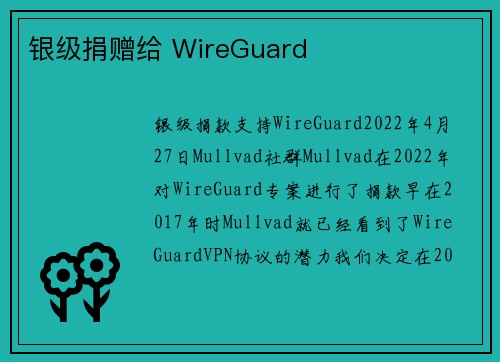 银级捐赠给 WireGuard 